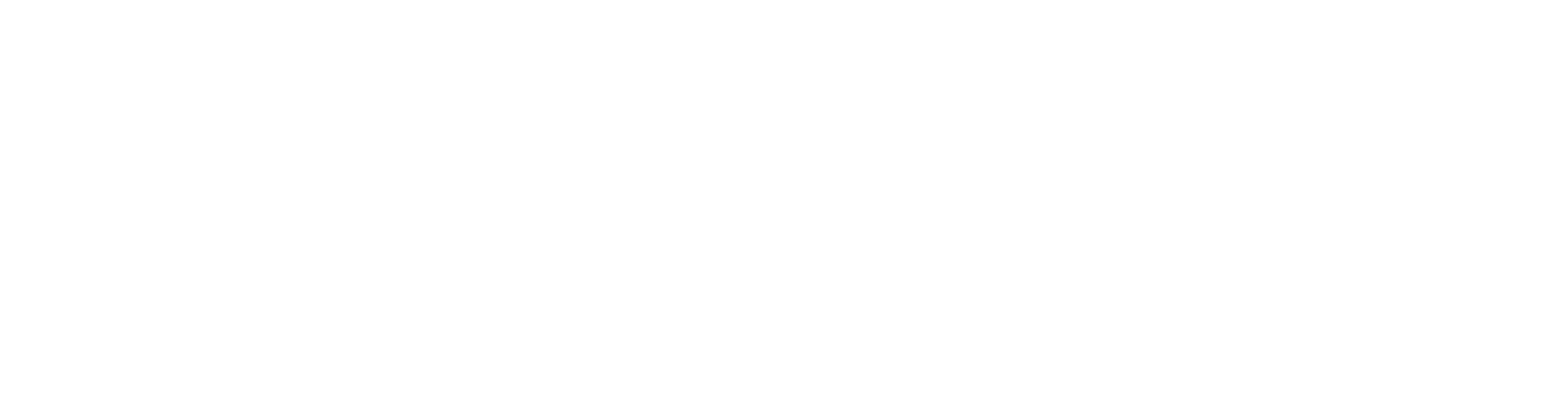 logo_praktyk_mono_white